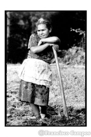 normal_mujeres_28929.jpg