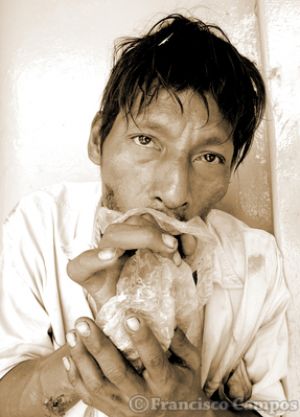 normal_oflapega.jpg