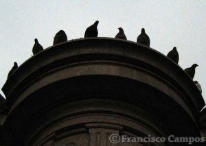 curiosas_282429.jpg