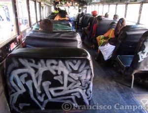 curiosas_283229.JPG