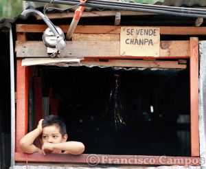 curiosas_284329.JPG