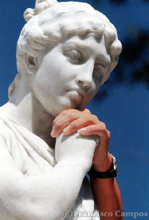 curiosas_284629.jpg