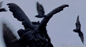 curiosas_285029.JPG