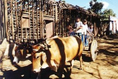 San_agustin_carreta13-1