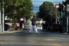 calleperoelegante1