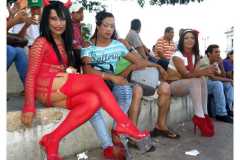 cronicagay20