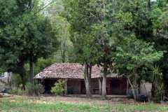 amenazados-27