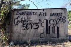 amenazados-30