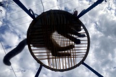    ¡Dormilones profesionales!