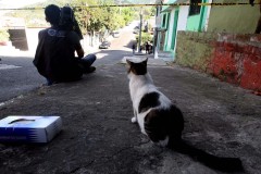      ¡Cazadores natos! 