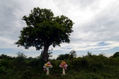 cementerio-12