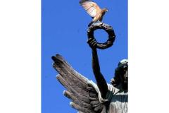 Descubre cómo las aves han conquistado el concreto en San Salvador. Una exposición virtual de Francisco Campos sobre la supervivencia y belleza urbana actual.