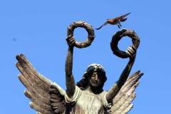 Descubre cómo las aves han conquistado el concreto en San Salvador. Una exposición virtual de Francisco Campos sobre la supervivencia y belleza urbana actual.