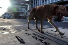 chucho4