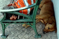 chucho6