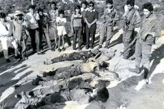 1_ofencivamejicanos-21