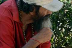 barba4