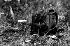 Cartera