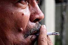 tabaco-24