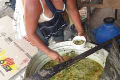 fiestas-pancho-31