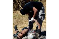 muerte19
