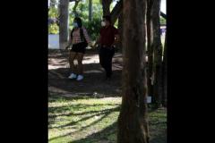 amortcovid13