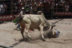 Cuscatlan4