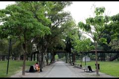Cuscatlan10