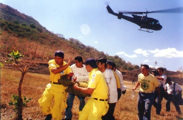 Voluntarios y rescatistas trabajan entre escombros en zonas afectadas por el terremoto, mientras fotoperiodistas documentan la tragedia y la respuesta solidaria. Foto: Archivo.
