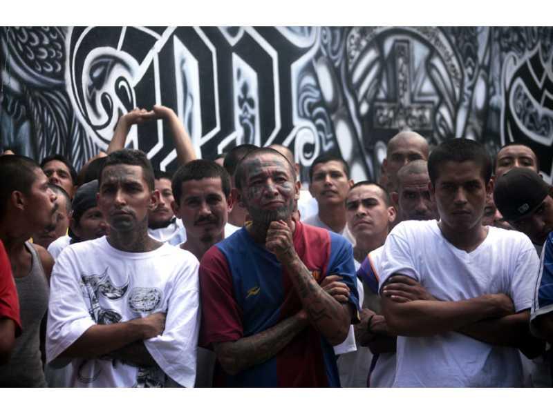 VIDEO. Rostro y rastros de la tregua entre pandillas 2012/2014